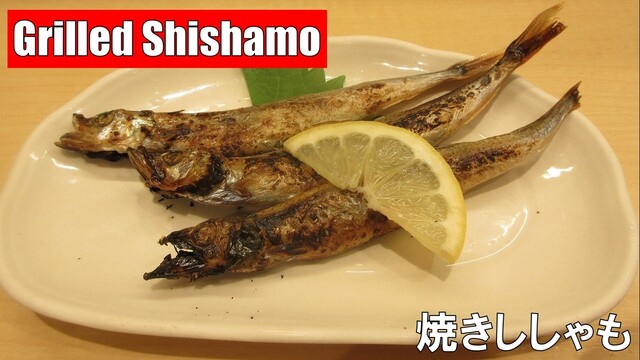 用戶對於泳ぎイカ 北海道知床漁場 天満店的評論高清圖