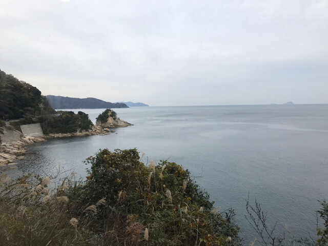 用户对于丹後あかまつ号的评论高清图