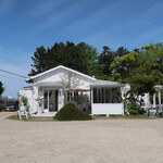 User's review image for BeachHouseStyleCafe sunflower