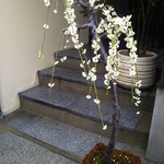 用戶對於白川たむら的評論圖