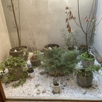 User's review image for ロリマー京都