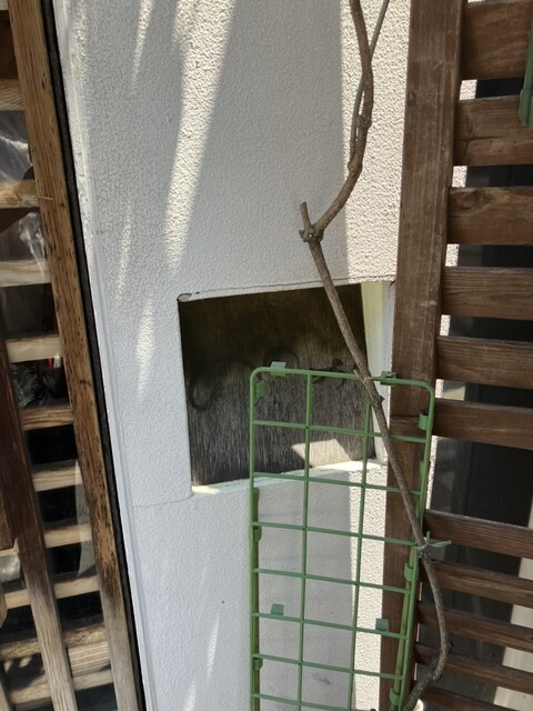 用户对于八幡町 ののか的评论高清图