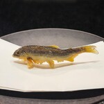 用户对于天雅的评论图