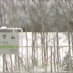 用户对于星野リゾート トマム ザ・タワー的评论图