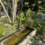 用戶對於茶餐 無垢的評論圖