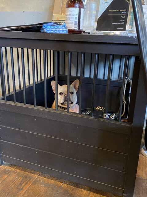 用户对于ザ バーガースタンド ナツメグ的评论高清图