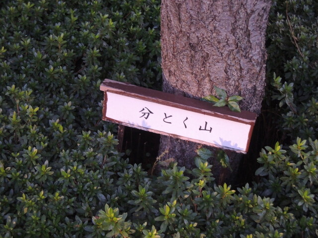 用户对于分とく山的评论高清图