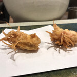 User's review image for なかがわ