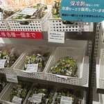 User's review image for Shop チロルチョコ