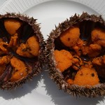 用戶對於虎杖浜温泉ホテル的評論圖