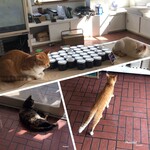 用户对于神威ファーム的评论图
