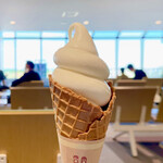 用户对于グリーン ポケッツ的评论图