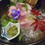 用户对于酒肴彩縁MASA的评论图