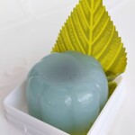 User's review image for 赤坂青野 本店