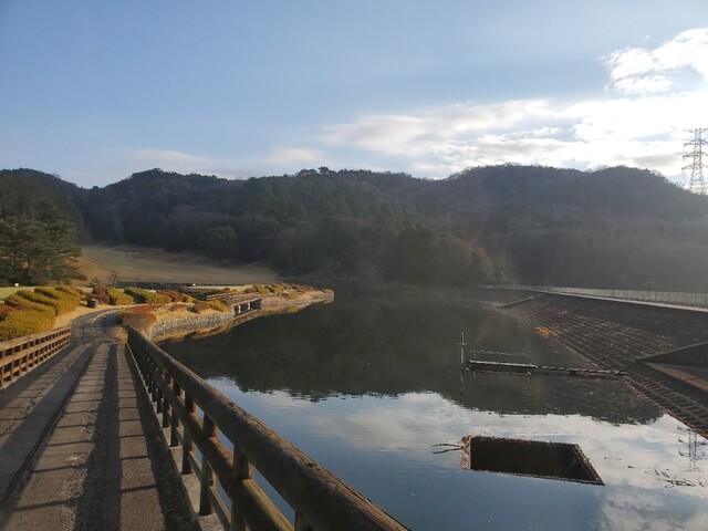 User's recommendation image for 松すし