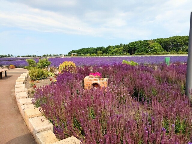 User's recommendation image for 花のCAFE