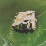 用户对于DAL 1982的评论图