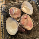 用户对于ヤマト的评论图
