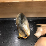 用户对于鮨源 高田馬場店的评论图