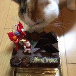 User's review image for パティスリー ラ・プリュム