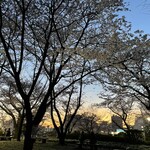 用戶對於141 OUJI TABLE的評論圖