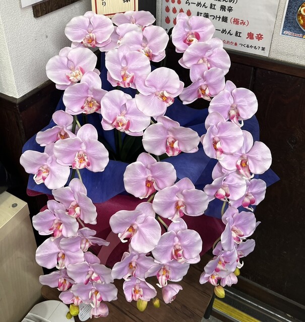 User's recommendation image for らーめん 汁なし 兄貴んち