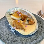 用戶對於VANKA的評論圖