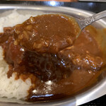 用户对于レッツゴーカレー アリオ札幌店的评论图