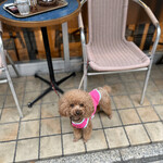 User's review image for モリバコーヒー 四谷二丁目店