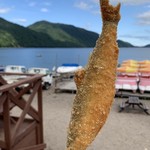 用户对于支笏湖観光センター的评论图