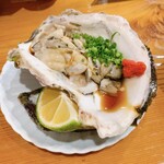 用户对于魚虎的评论图