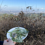 用户对于景信山頂上　景信茶屋　青木的评论图