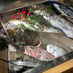 User's review image for なきざかな 新宿店はなれ