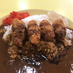 用戶對於印度のルー 天下茶屋店的評論圖