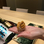 用户对于鮨西光的评论图