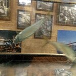 用戶對於北九州酒場的評論圖