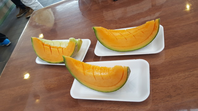 用户对于とみたメロンハウス的评论高清图