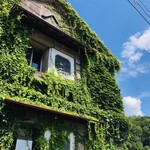 用户对于KULATUTA的评论图