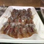 用戶對於にしきの千松的評論圖