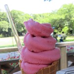 用戶對於森のカフェ的評論圖