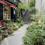 User's review image for オールド・ローズ・ガーデン