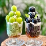 用戶對於MAJA CAFE TUPA的評論圖