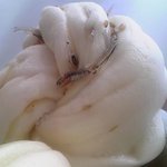 User's review image for PISERO