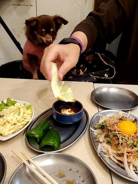 User's recommendation image for 串カツ田中 立川店