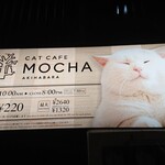用戶對於猫カフェMOCHA 秋葉原店的評論圖