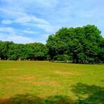 用户对于小春日和 TOKYO的评论图