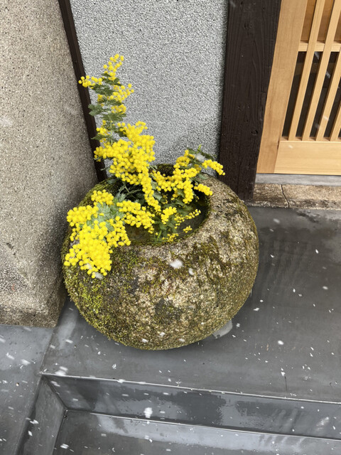 用户对于わか杦的评论高清图