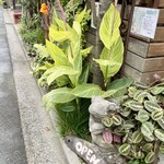 User's review image for アムリタ食堂