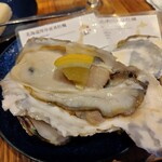 用戶對於VIGO OYSTERBAR的評論圖