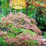 User's review image for うかい竹亭